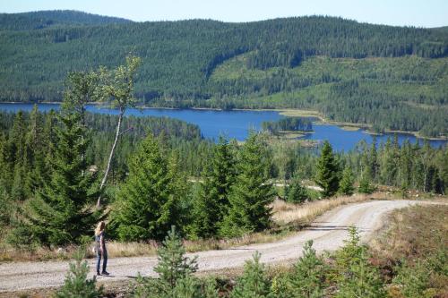편의 시설/서비스, Holiday Home Langberget in 시스스레백 편의 시설/서비스, Holiday Home Langberget in 시스스레백