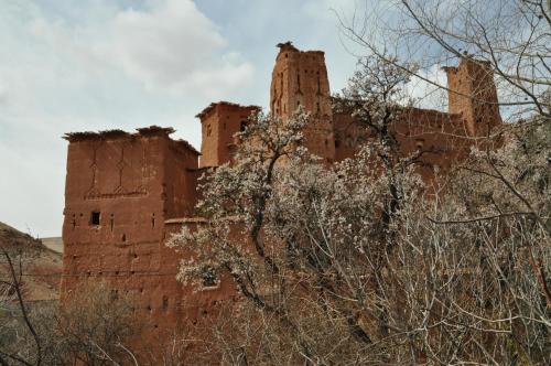 Kasbah Tigmi N'Oufella in Telouet Kasbah Tigmi N'Oufella in Telouet