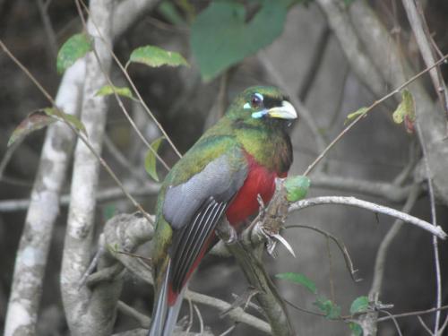 This photo about Jacana Lodge shared on HyHotel.com