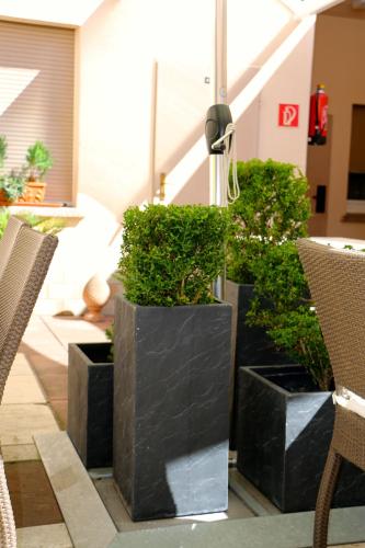 Casa Hotel Neu-Isenburg - image 5