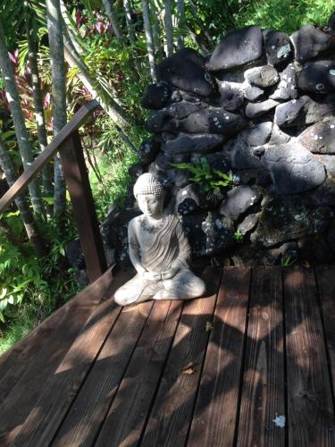 在meiguo.com看到的Marjorie's Kauai Inn的介绍图片