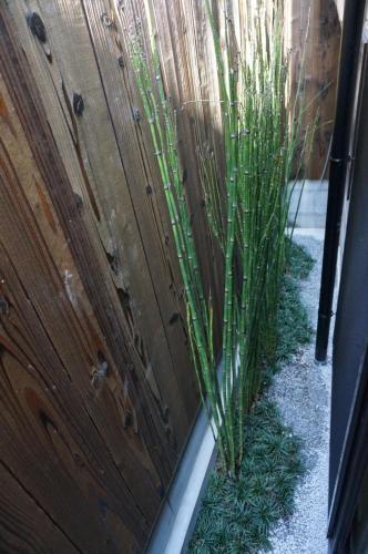 This photo about Akaneya Kyoto Station shared on HyHotel.com