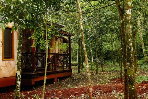 zahrada, Selva de Laurel in Puerto Iguazu zahrada, Selva de Laurel in Puerto Iguazu