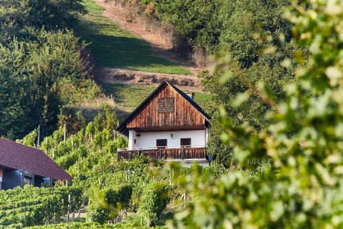 Weinberg Lodge - Kellerstockl in Klöch Weinberg Lodge - Kellerstockl in Klöch