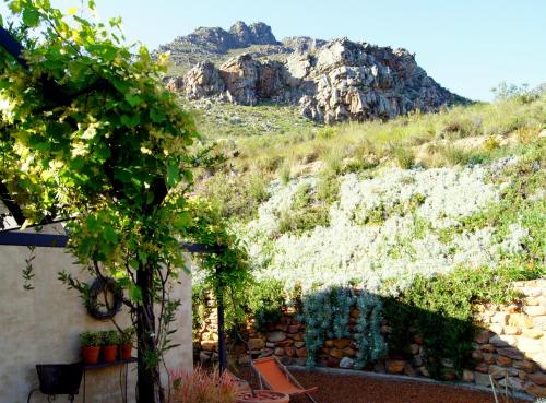 Γύρω περιβάλλον, The Cottage @ Montpellier in Χρούετ-Ντράκενσταιν Γύρω περιβάλλον, The Cottage @ Montpellier in Χρούετ-Ντράκενσταιν