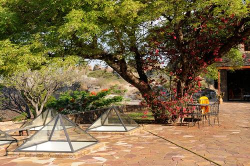 Jardí, Le Jardin du Roy in Ranohira Jardí, Le Jardin du Roy in Ranohira