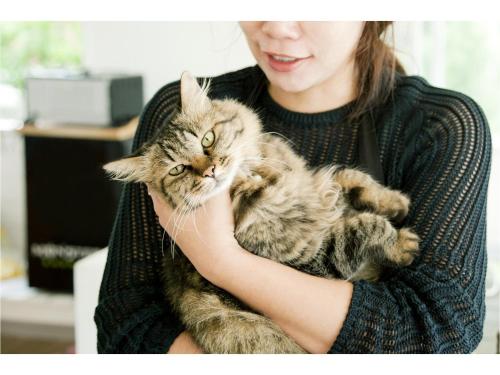 This photo about Pension Atca shared on HyHotel.com