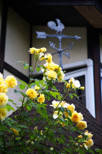 This photo about Sato Pension Ruhe shared on HyHotel.com