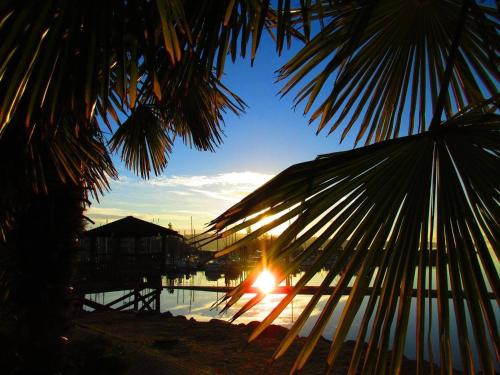 Strand, Magnolia Petal in Salt Spring Island (BC) Strand, Magnolia Petal in Salt Spring Island (BC)
