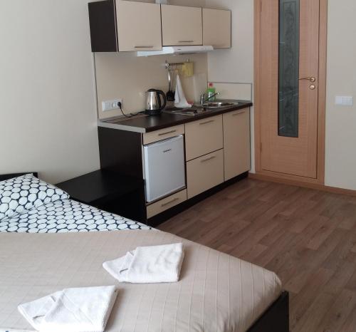 Apartment na Stanislavskogo in نوفوسيبرسك Apartment na Stanislavskogo in نوفوسيبرسك