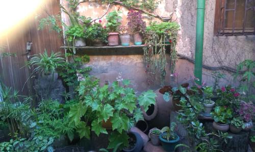 This photo about Hostel 48a shared on HyHotel.com