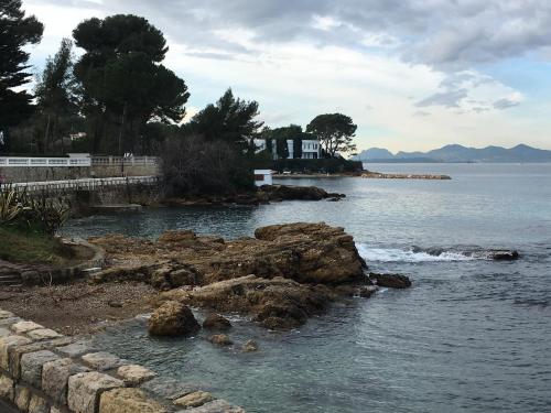 Surrounding environment, Cap Antibes Les Bosquets in Saramartel Surrounding environment, Cap Antibes Les Bosquets in Saramartel