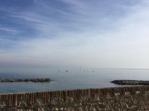 Surrounding environment, Cap Antibes Les Bosquets in Saramartel Surrounding environment, Cap Antibes Les Bosquets in Saramartel