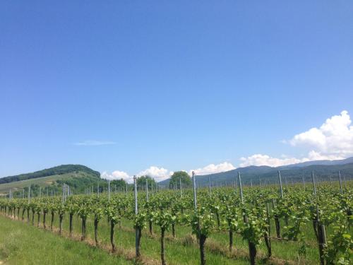 This photo about Appartement Schwarzwald bei Freiburg shared on HyHotel.com