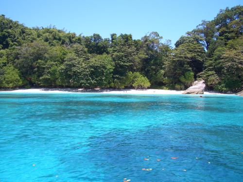 Thai Life Guesthouse14