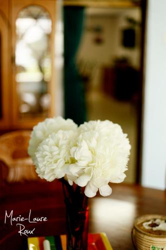 This photo about Annie's Lodge Cape Maclear shared on HyHotel.com