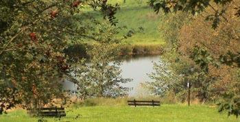 tuin, Hotel Burg Waldau in Grasellenbach tuin, Hotel Burg Waldau in Grasellenbach