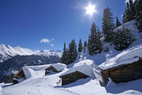 Surrounding environment, Piz Buin in Kappl Surrounding environment, Piz Buin in Kappl