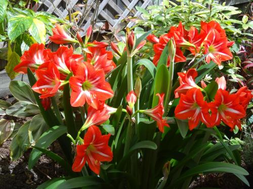 This photo about Noonameena Bed and Breakfast shared on HyHotel.com