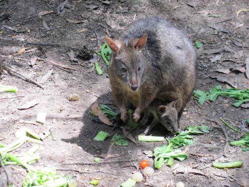 This photo about Arthur River Holiday Units shared on HyHotel.com