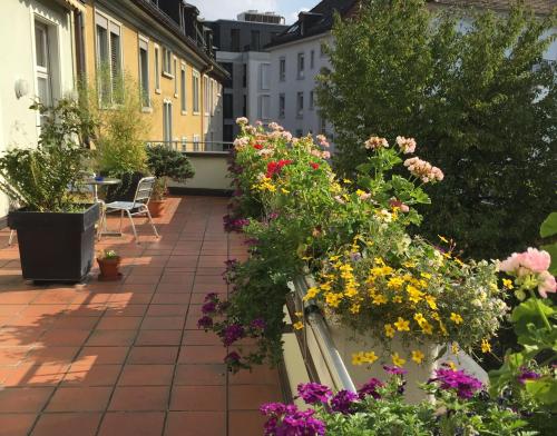 Haus Zur Stauffacherin Women Only Zurich