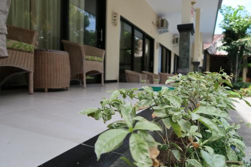 Exterior view, Bali Reef Divers Tulamben in Tulamben Exterior view, Bali Reef Divers Tulamben in Tulamben