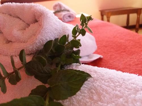 This photo about Archontiko Kantartzi shared on HyHotel.com