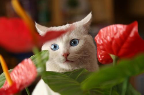 This photo about Qicaidanxia International Youth Hostel shared on HyHotel.com