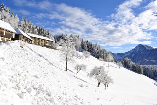 This photo about BergPension Lausegger shared on HyHotel.com