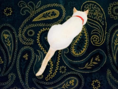 This photo about Pension Atca shared on HyHotel.com