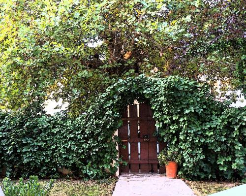 Вхід, Villa the Platanus Tree in Като Ахайя Вхід, Villa the Platanus Tree in Като Ахайя