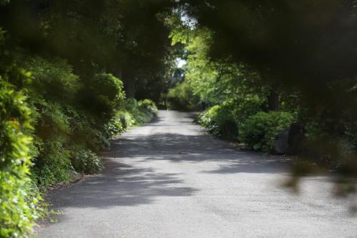 This photo about B&B Healing Garden shared on HyHotel.com