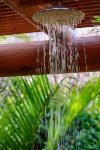 This photo about The Inn Manzanillo Bay shared on HyHotel.com