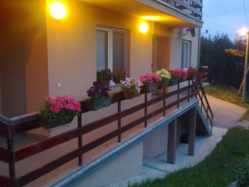 شرفة/ تراس, Apartments Varga in Divcibare شرفة/ تراس, Apartments Varga in Divcibare