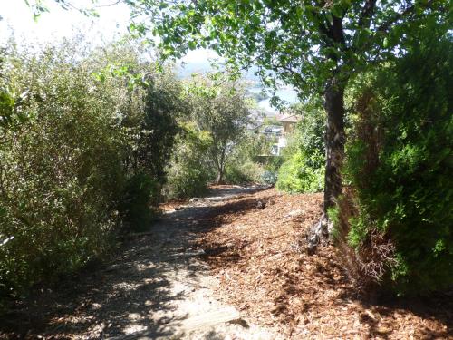 This photo about Protea Hill shared on HyHotel.com