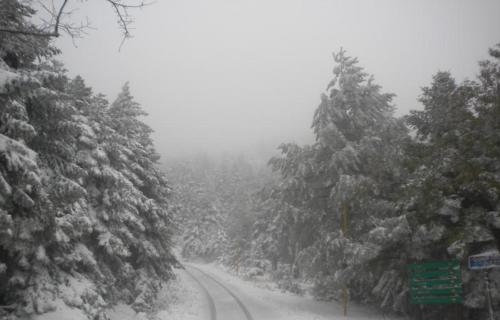 This photo about Cavallari Palace Hotel Suites shared on HyHotel.com