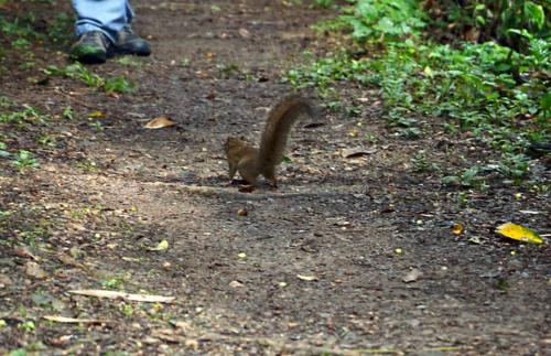 This photo about Austria Hostel & Pousada shared on HyHotel.com