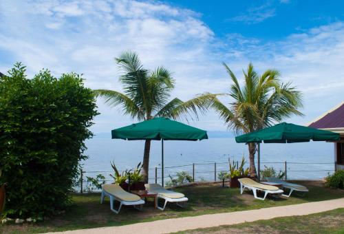 Beach, Quo Vadis Dive Resort in Moalboal Beach, Quo Vadis Dive Resort in Moalboal