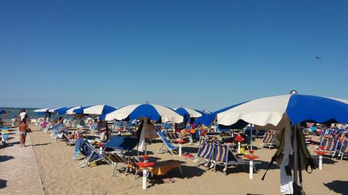 Beach, Albergo Primavera in Senigallia Beach, Albergo Primavera in Senigallia