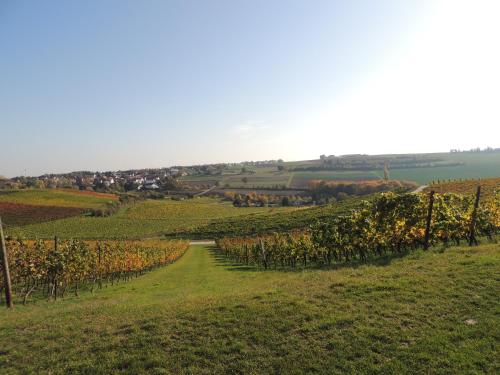 A környék, Weingut Seck in Dolgesheim A környék, Weingut Seck in Dolgesheim