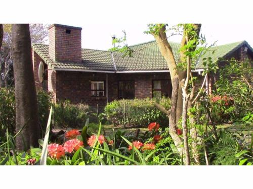 Exterior view, Forest Nest in Storms River Exterior view, Forest Nest in Storms River