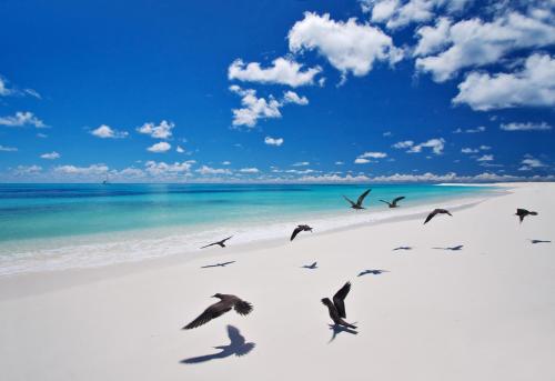 This photo about Bird Island Lodge Seychelles shared on HyHotel.com