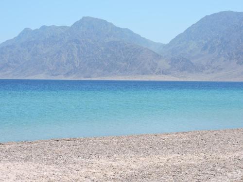 Beach, TIME Coral Nuweiba Resort in Nuweiba Beach, TIME Coral Nuweiba Resort in Nuweiba
