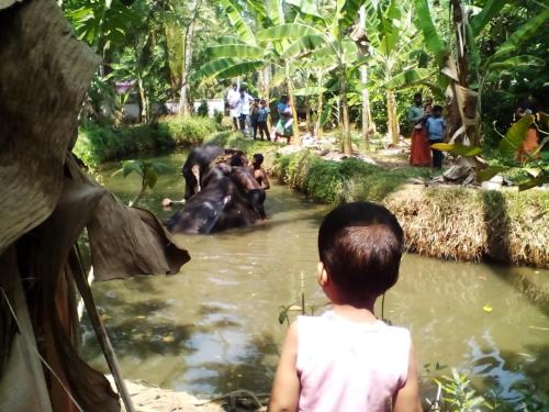 This photo about Munroe Days Homestay shared on HyHotel.com