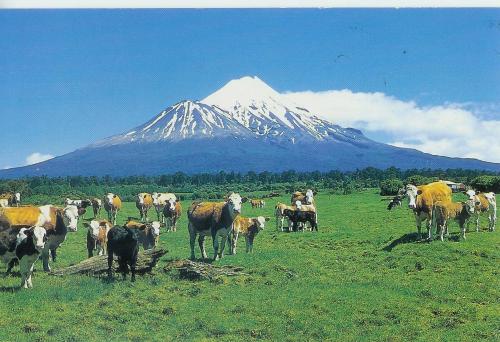 View, Wheatly Downs Farmstay and Backpackers in Mount Taranaki View, Wheatly Downs Farmstay and Backpackers in Mount Taranaki