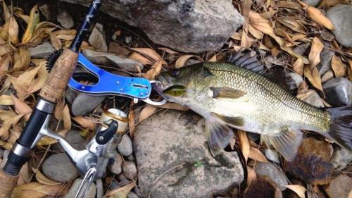 This photo about Barrington Hideaway- River Cottages shared on HyHotel.com