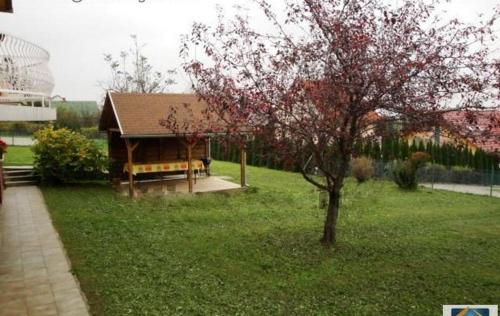 ogród, Porat House in Zalakaros ogród, Porat House in Zalakaros