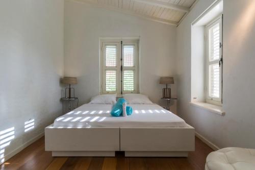 This photo about Pietermaai Caribbean Vibes shared on HyHotel.com