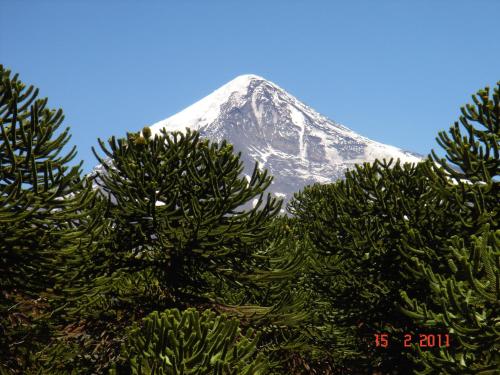Surrounding environment, The Old Viking Fly Fishing- Alojamiento in Junín de los Andes Surrounding environment, The Old Viking Fly Fishing- Alojamiento in Junín de los Andes