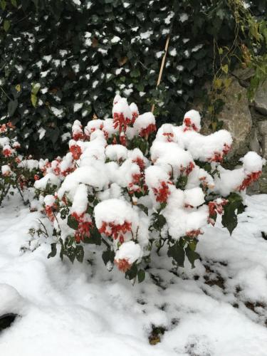 This photo about Karims Apartments shared on HyHotel.com